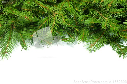 Image of Christmas background. Eve framework