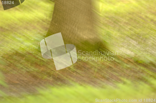 Image of Impressionist Tree Trunk