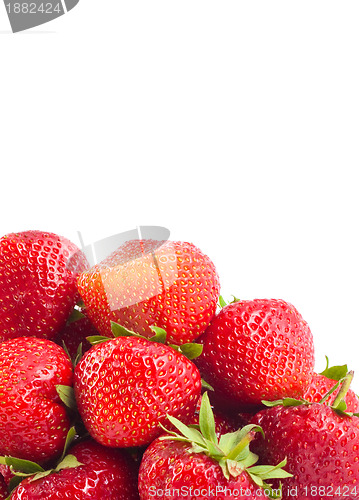 Image of Fresh strawberries