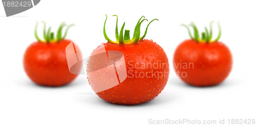 Image of Tomatos