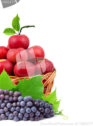 Image of 
Basket of apples