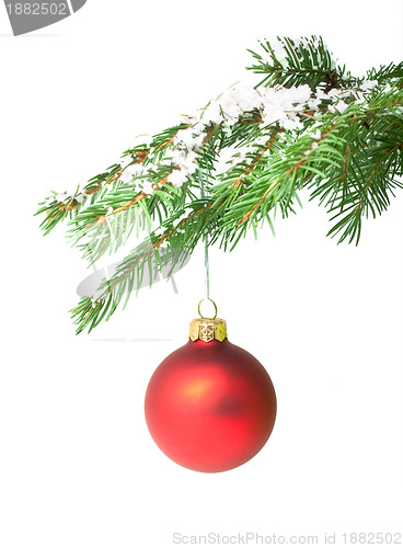 Image of Branch with a Christmas toy