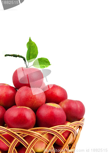 Image of Basket of apples