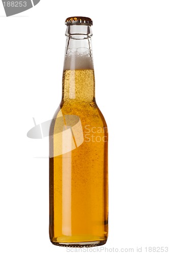 Image of Beer bottle with liquid