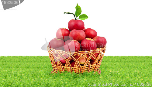 Image of Basket of apples