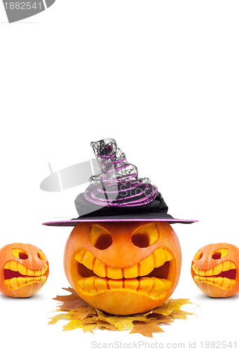 Image of Halloween pumpkin