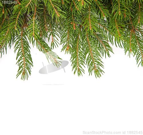 Image of Christmas framework