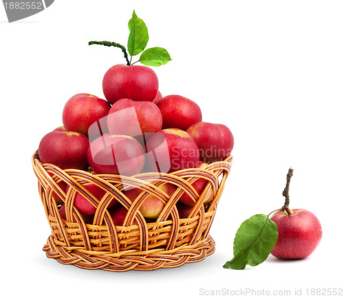 Image of 
Basket of apples
