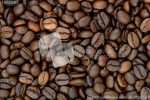Image of Brown roasted coffee beans
