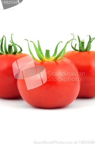 Image of Tomatos