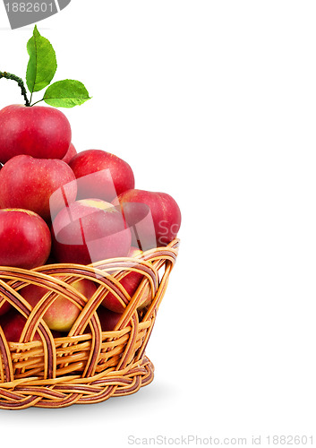 Image of Basket of apples