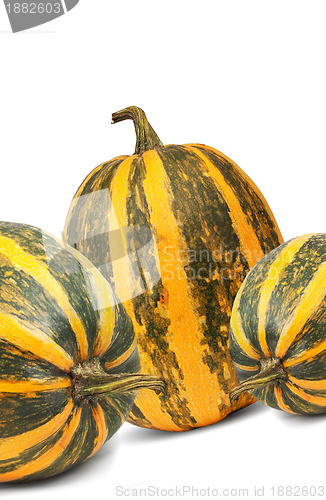 Image of Pumpkin