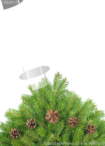Image of Christmas framework
