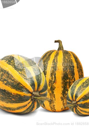 Image of Pumpkin