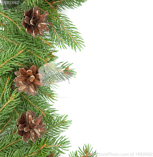 Image of Christmas framework