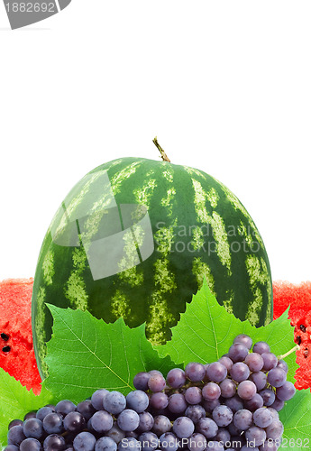 Image of Watermelon and grape