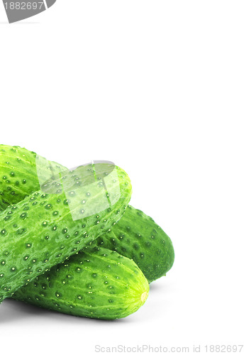 Image of Cucumbers