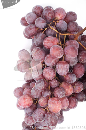 Image of Grape