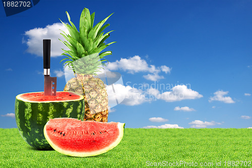 Image of Pineapple and watermelon