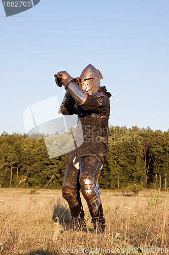 Image of Medieval knight 