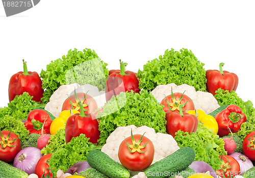 Image of Assorted fresh vegetables
