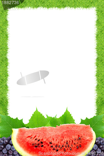 Image of Watermelon and grape