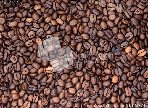 Image of Background of coffee bean
