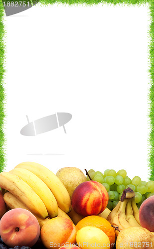 Image of Fresh fruit