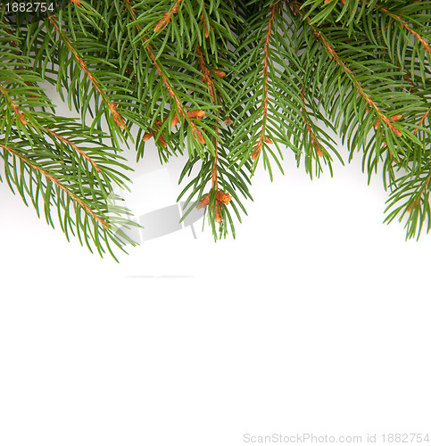 Image of Christmas framework