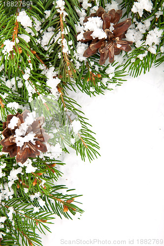 Image of Christmas framework with snow and cones