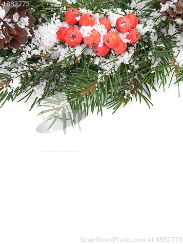 Image of Christmas framework