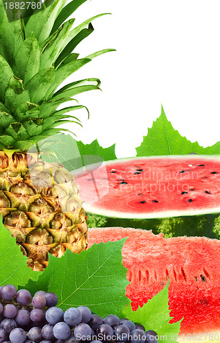Image of Colorful healthy fresh fruit.