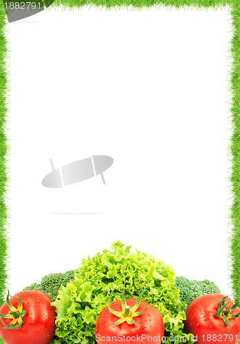 Image of Assorted fresh vegetables