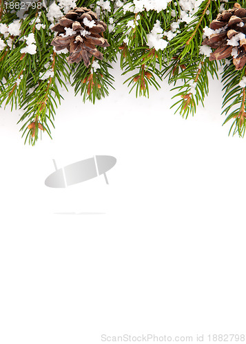 Image of Christmas framework with snow and cones