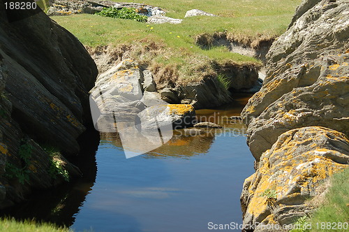 Image of summermood