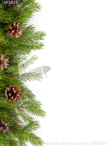 Image of Christmas framework