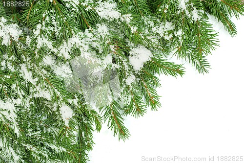 Image of Christmas background. Eve framework