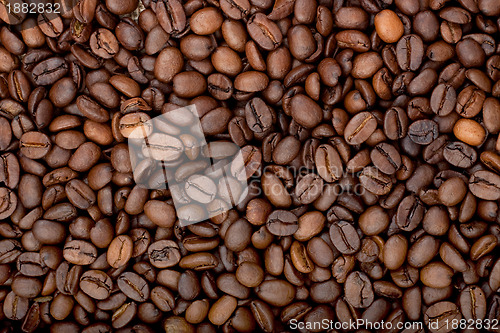 Image of Background of coffee bean
