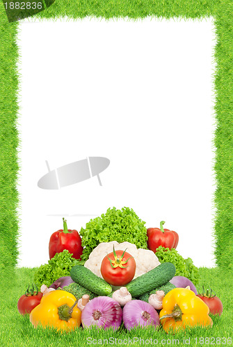 Image of Assorted fresh vegetables