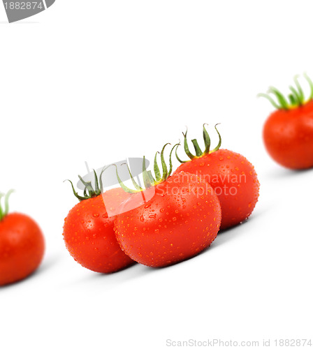 Image of Tomatos