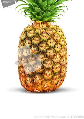Image of Ripe pineapple 