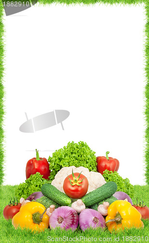 Image of Assorted fresh vegetables