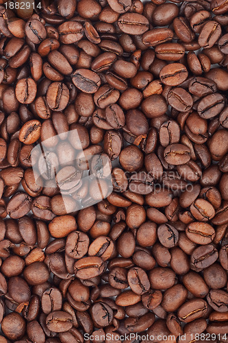 Image of Background of coffee bean
