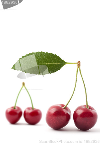 Image of Red cherries
