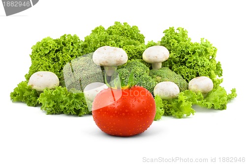 Image of Champignon on a lettuce