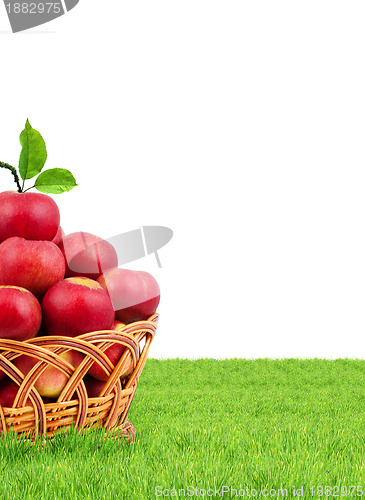 Image of Basket of apples