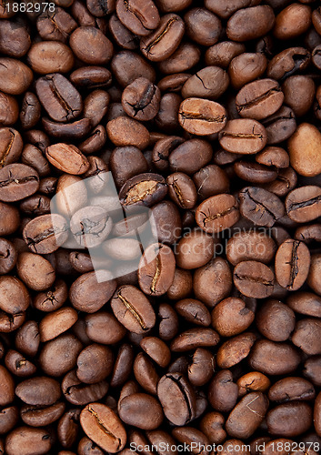 Image of Background of coffee bean
