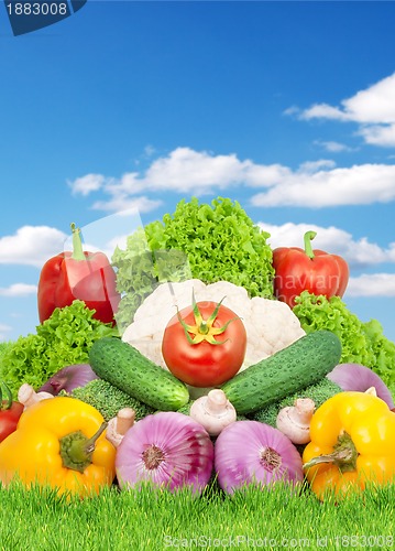 Image of Assorted fresh vegetables