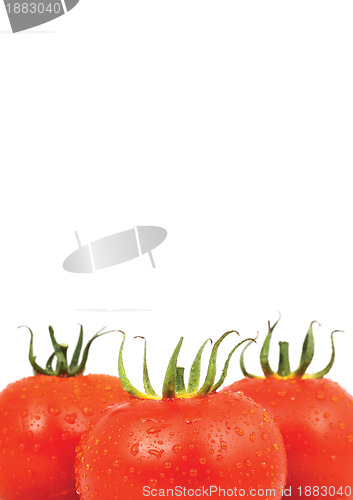 Image of Three red tomatos isolated on white background