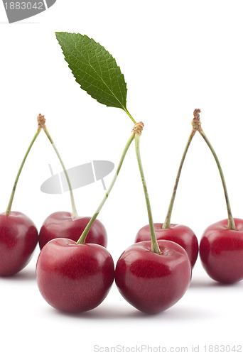 Image of Red cherries